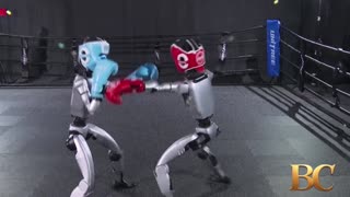 Humanoid robots fight in Chinese kick-boxing competition