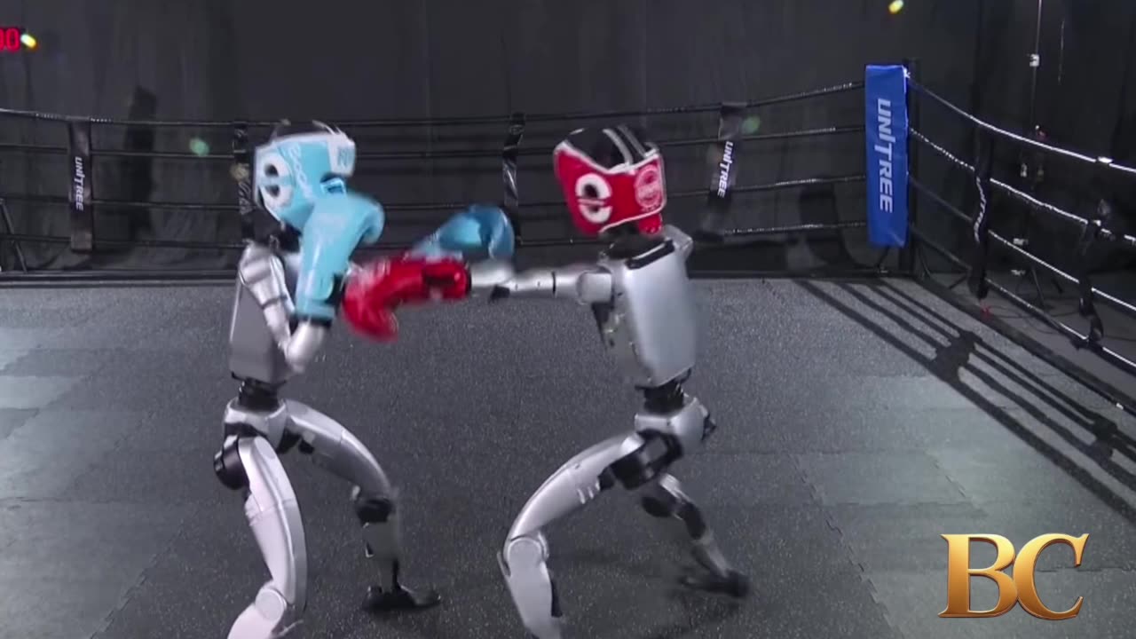 Humanoid robots fight in Chinese kick-boxing competition