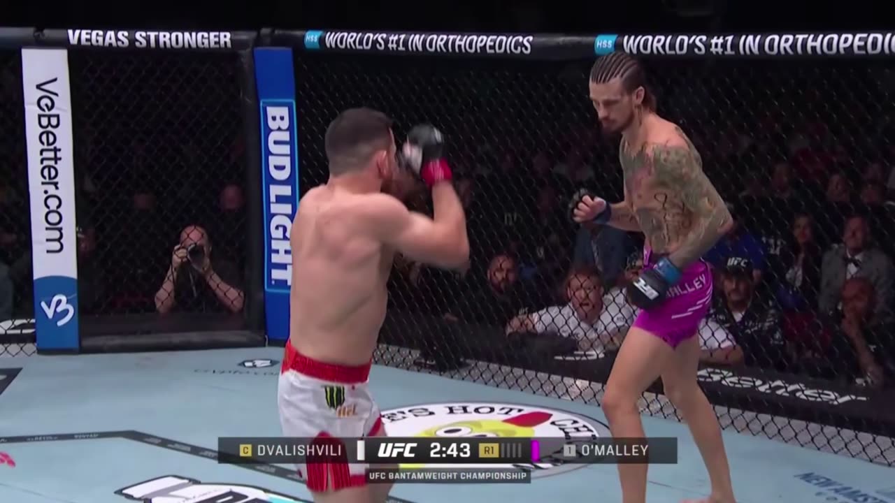 Merab Dvalishvili vs Sean Omalley Pelea Completa