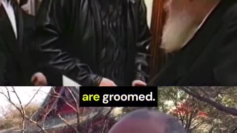 So much truth in one video
