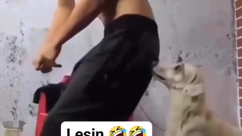laugh till you cry rare funny moment you don’t wanna miss!😂😂😂