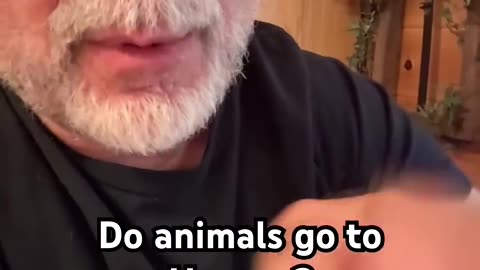 Do animals go to Heaven?