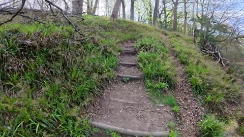 Relaxation nature hiking sounds with wild birds Northumberland England ultrawide