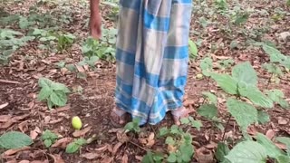 😂 Can't Stop Laughing! Funniest Fails and Bloopers Compilation