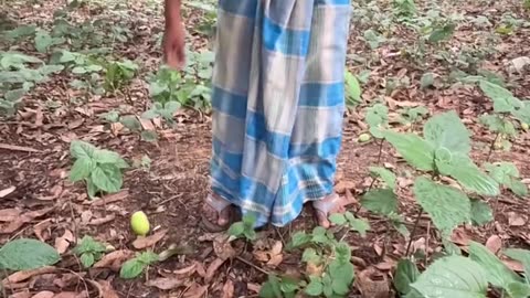 😂 Can't Stop Laughing! Funniest Fails and Bloopers Compilation