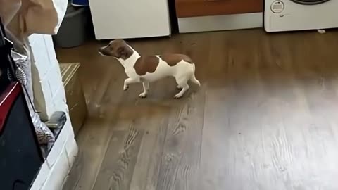 😂🤣 When You Freeze in Fear and CAN'T Move a Muscle! | FunFM