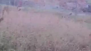 🇺🇦😎 Ukrainian military shoots down Russian FPV drone chasing their comrades' pickup