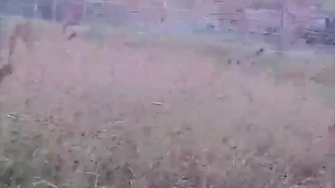 🇺🇦😎 Ukrainian military shoots down Russian FPV drone chasing their comrades' pickup