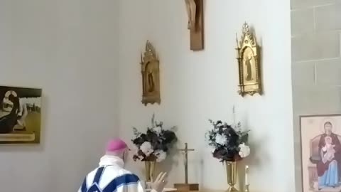 Visitation of the Blessed Virgin Mary- July 2, 2025