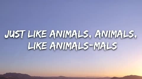 ANIMALS HAAPY MUSIC