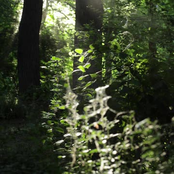 A sweeping fantasy of forgotten magic