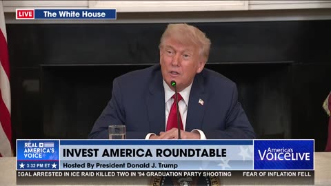 TRUMP ON ELON-BESSENT ARGUMENT