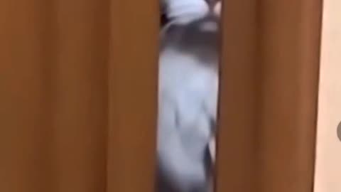 🤔😂 You Won't Believe What Happens Next! | FunFM