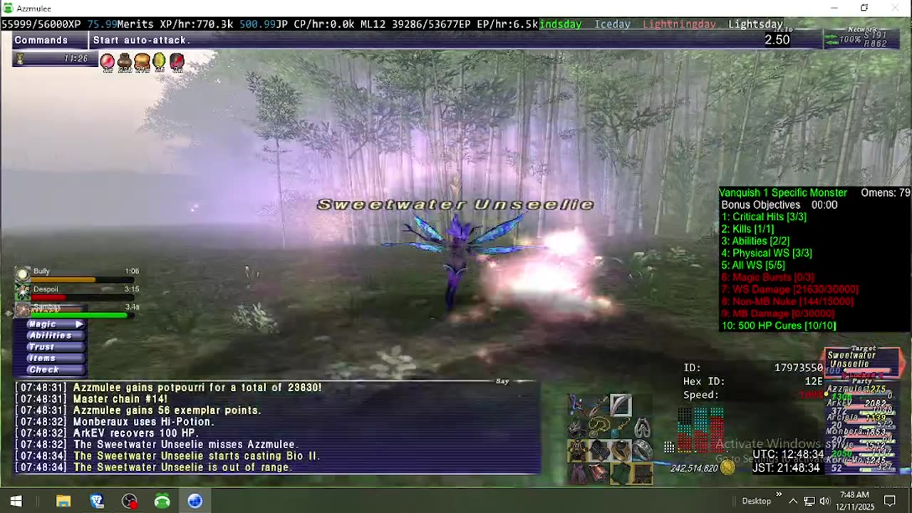Playing Final Fantasy XI Online
