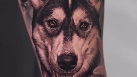 Dog Portrait Jose Contreras TX