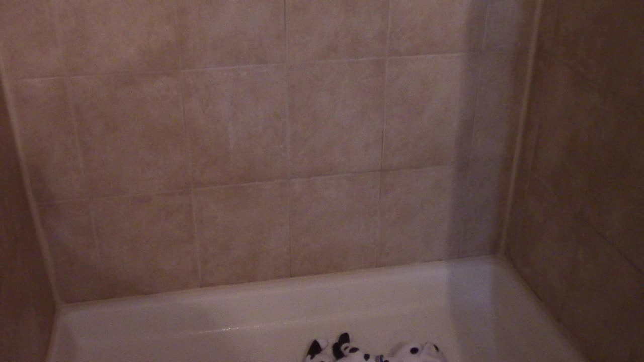 Dolly jumps in the shower