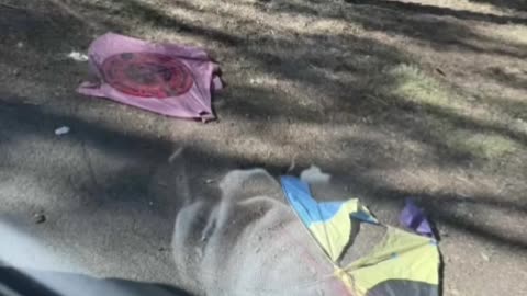 JEET FATIGUE: Indian Immigrants Leave Trash Everywhere After a Hindu Festival in Mernda, Melbourne
