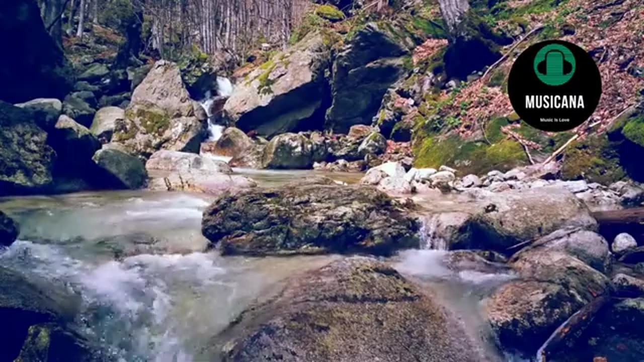 Most Happy Background Music
