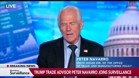 Peter Navarro speaks out on courts blocking President Trump’s America First agenda