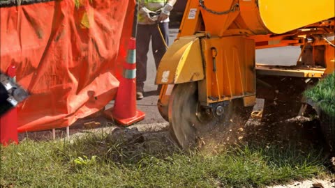 CG Tree Service