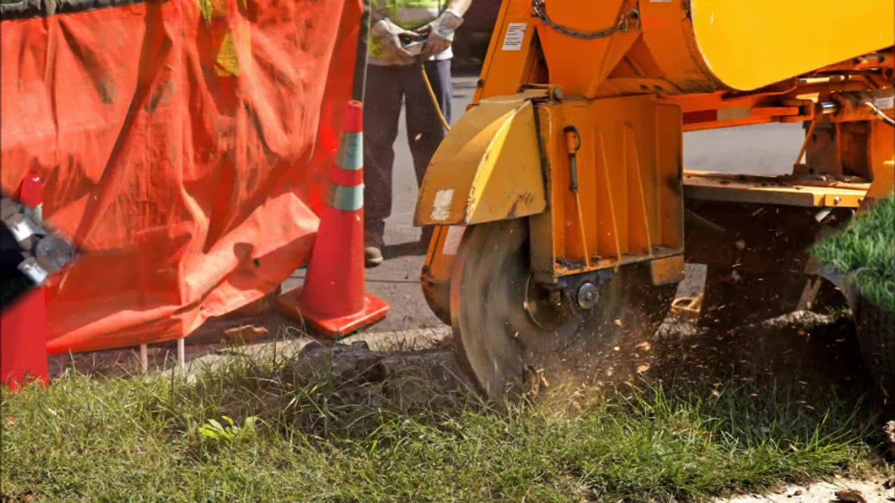 CG Tree Service