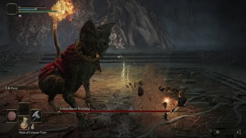 9 minutes of me failing to beat the erdtree burial watchdog