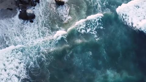 The Scofield Bible & The Suspicious Life Of Scofield