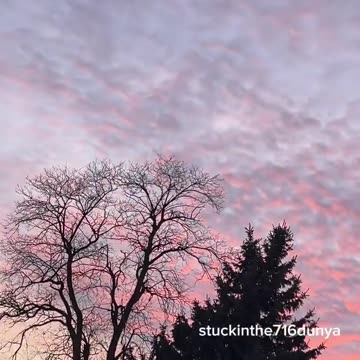 This is the town of West Seneca in Buffalo, New York