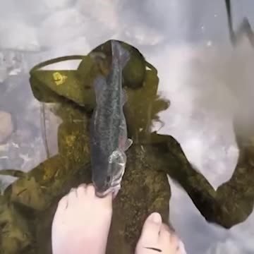 Epic Non-Fails Compilation 🔥 Top Videos You Have to See to Believe 💯