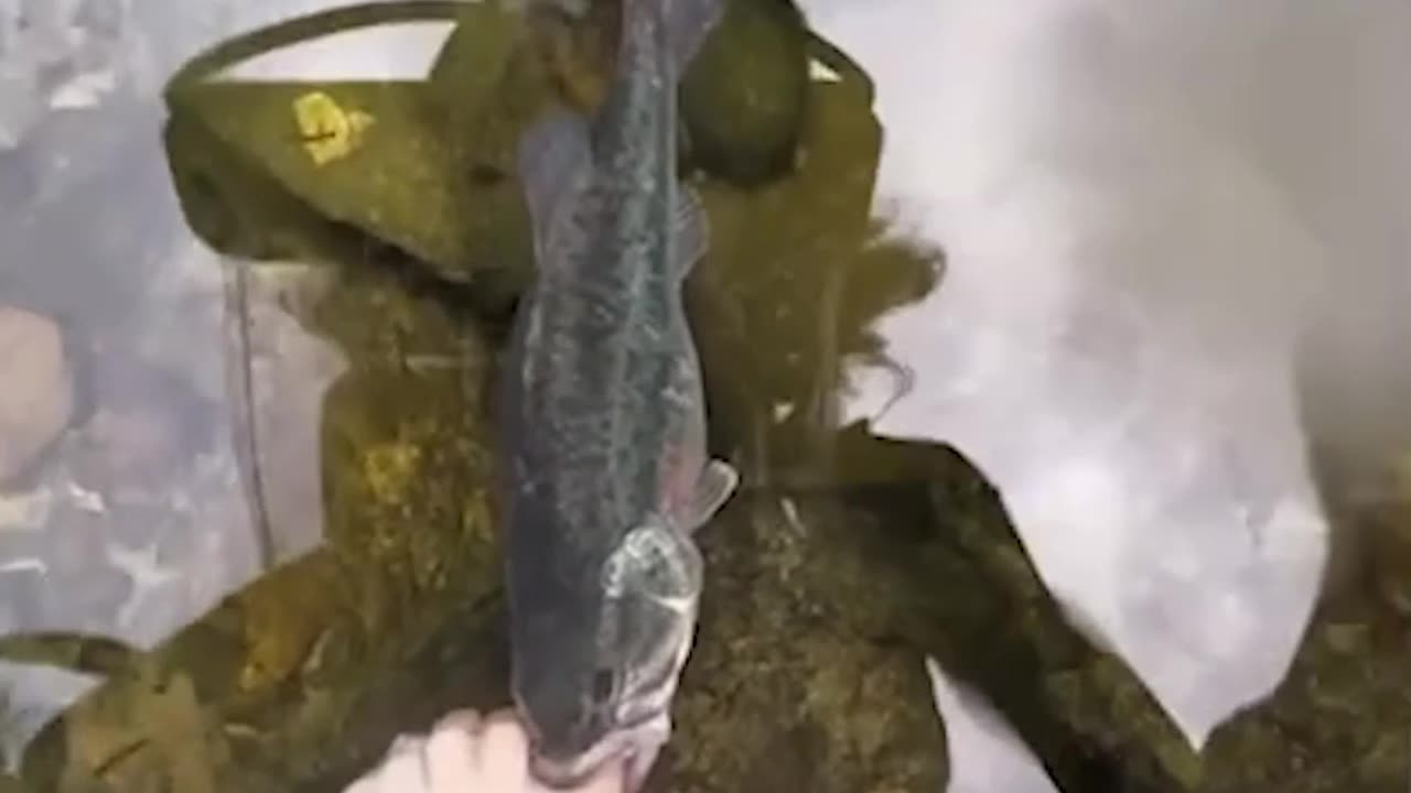 Epic Non-Fails Compilation 🔥 Top Videos You Have to See to Believe 💯