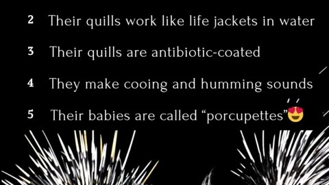 5 Fun Facts About Porcupines #naturelovers #animalfacts #wildlifefacts