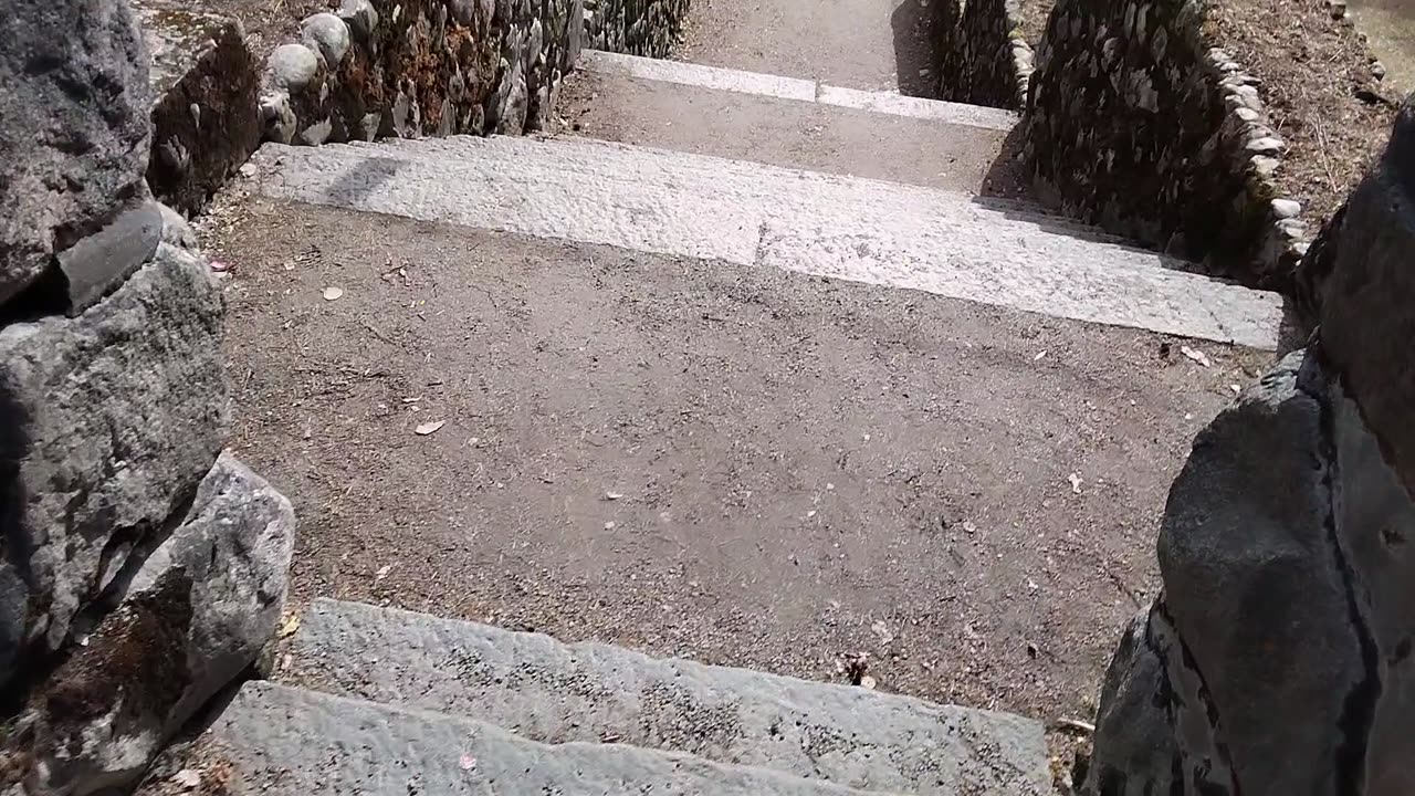 Jyväskylän Harju ja Vesilinnan torni