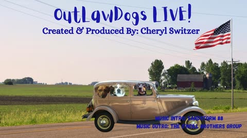 OutLawDogs LIVE! Ep. 33-Trump frees the Beagles!! DamePam's new car