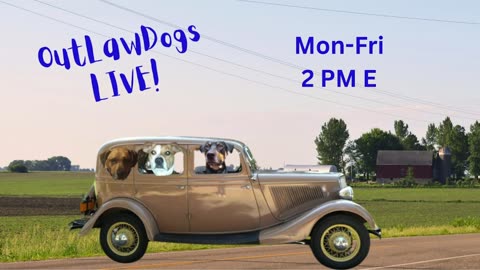 OutLawDogs LIVE! Ep. 33-Trump frees the Beagles!! DamePam's new car