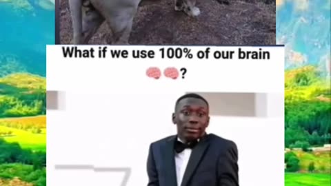 Memes of the day | funny memes | #funny