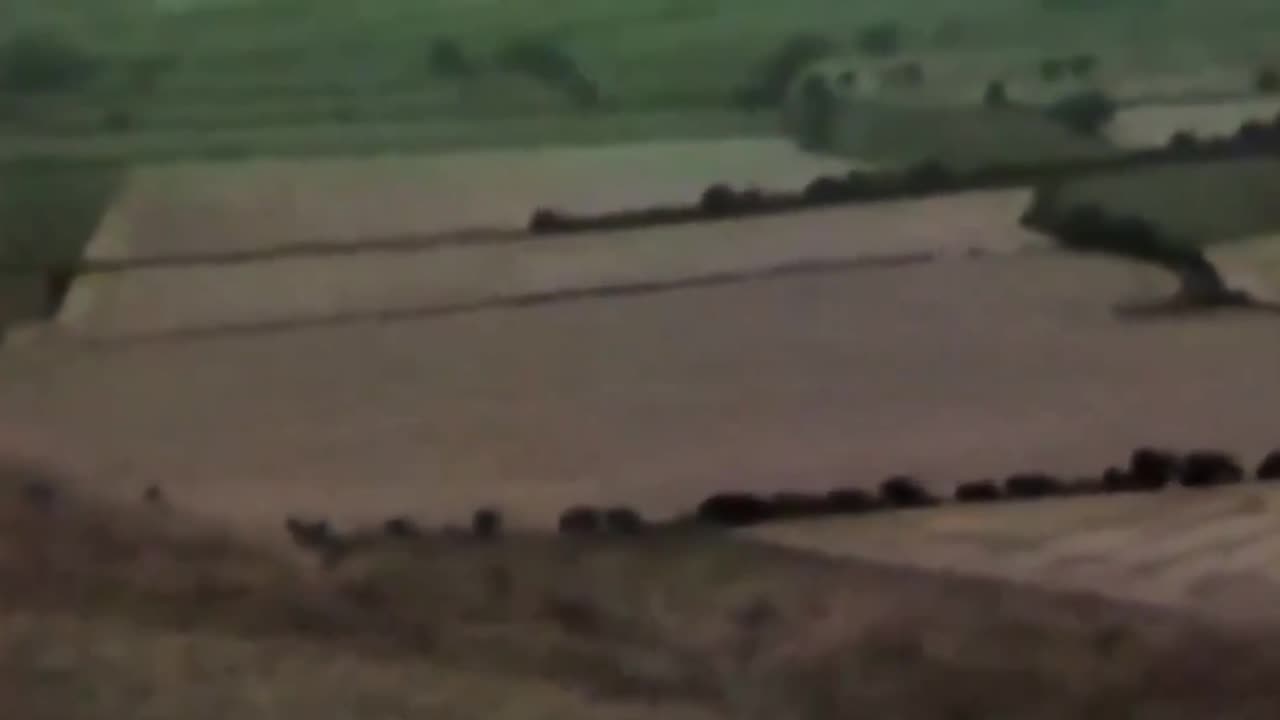 crop circles being made caught on camera