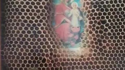This phenomenon has been documented over several years,