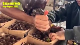 82525 Terry Reports - Top Political Video Clips of the Day! No. 4