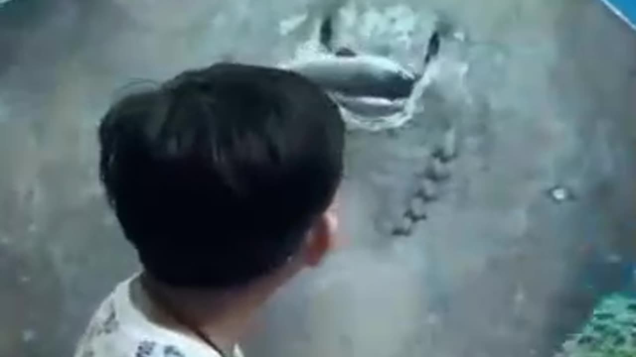 wonders of the world