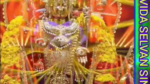 உறவாக வருகின்ற முருகையா TMS LEGEND M.THIRAVIDA SELVAN SINGAPORE TMS FANS 2025