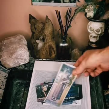 Tim Rifat TikTok Videos