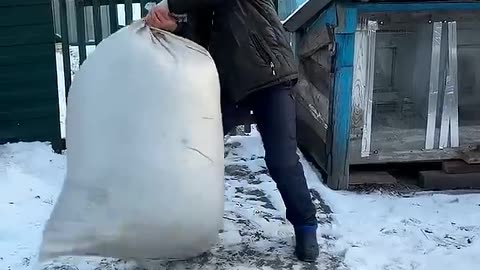 😂 Can You Watch This Without Laughing?