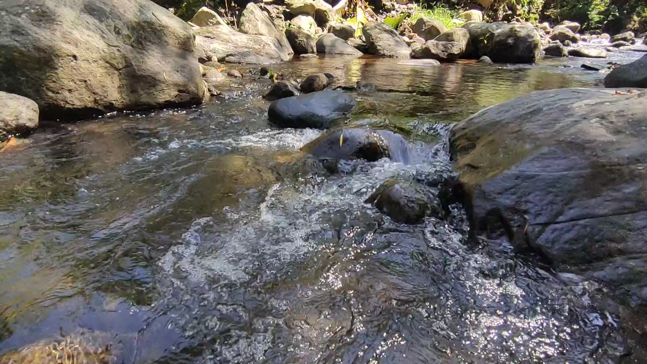 River Sounds for Deep Sleep & Relaxation