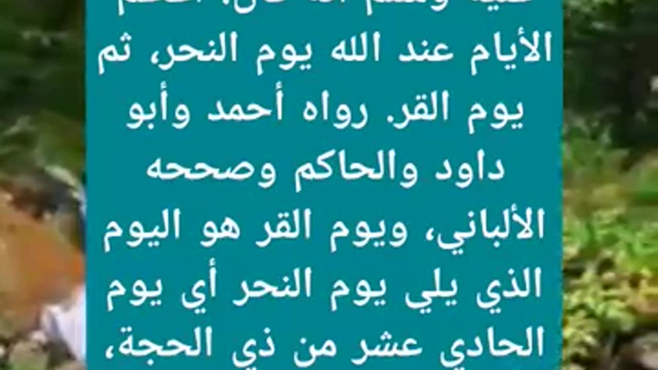 ما صحه حديث يوم القر؟