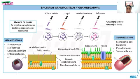 SEMESTRAL ADUNI 2025 | Semana 01 | Biología | Física