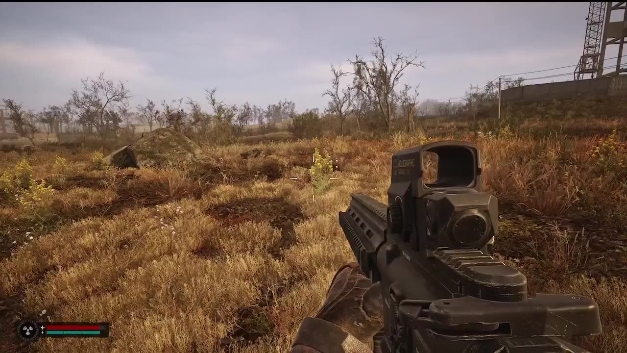 TEST STREAM