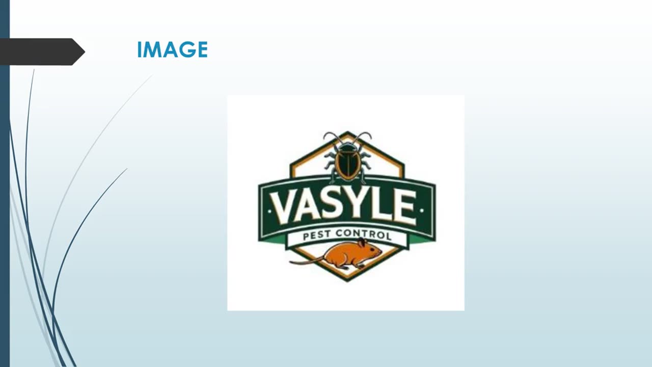 Best Cockroach Control in Pinner Green