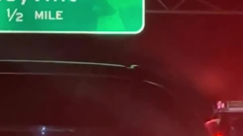 When the Long Island Expressway Is a Parking Lot, Shadow Puppets Help Pass the Time