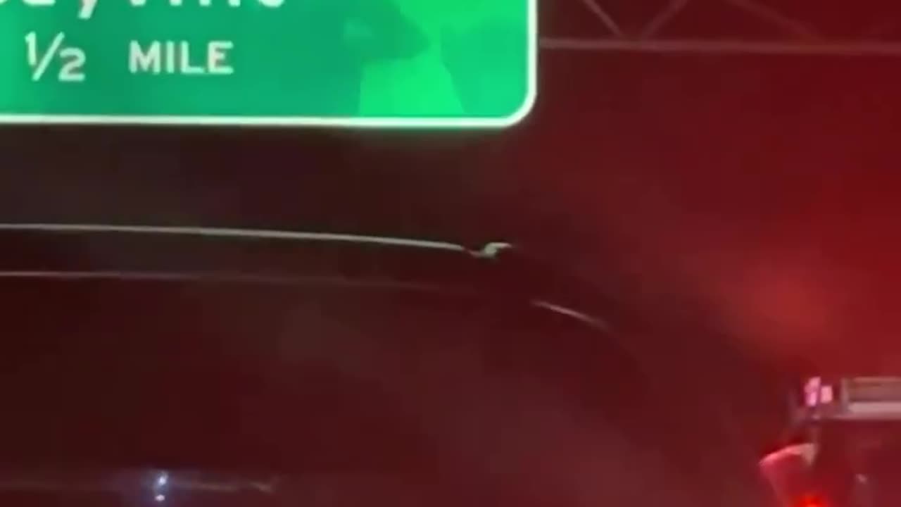 When the Long Island Expressway Is a Parking Lot, Shadow Puppets Help Pass the Time