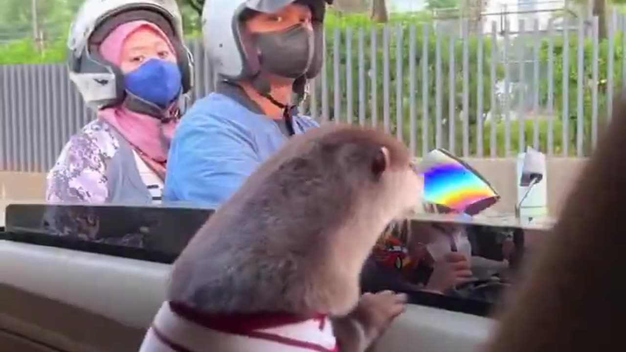 The way everyone’s stress melted away🥹